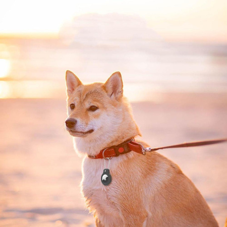 TECH-PROTECT ROUGH VEIN 2-PACK APPLE AIRTAG 1 / 2 BLACK