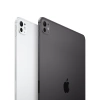 APPLE iPad Pro 13 cali M5 Wi-Fi + Cellular 1TB - Srebrny Nano