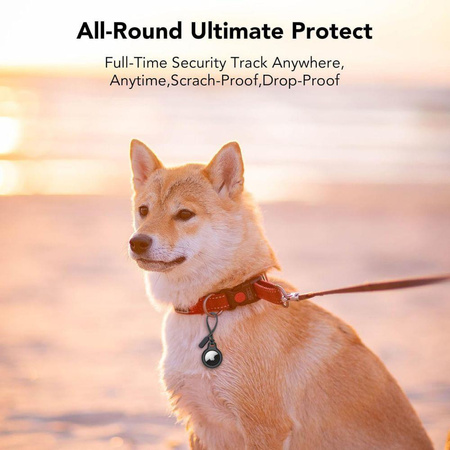 TECH-PROTECT ROUGH CHAIN 2-PACK APPLE AIRTAG 1 / 2 BLACK