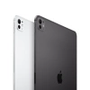 APPLE iPad Pro 11 cali M5 Wi-Fi + Cellular 2TB Srebrny Nano